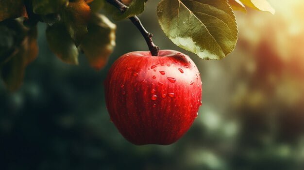 10 Best Benefits Of Eating A Apple 